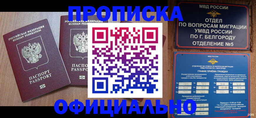 найти адрес прописки в Чайковском
